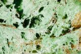 Polished Chrome Chalcedony Slab - Western Australia #221446-1